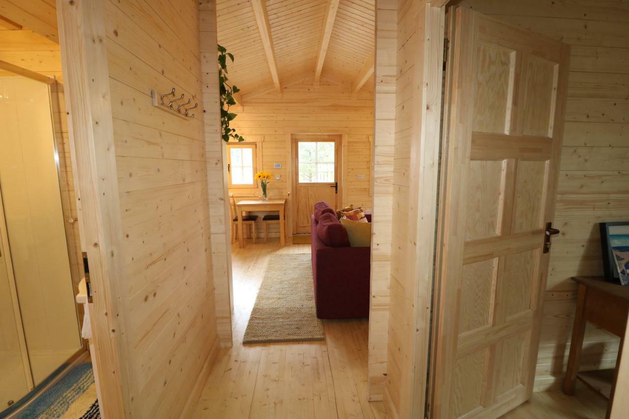 Inisean Lodge Log Cabin -Part Of Inisean B&B دونغلو المظهر الخارجي الصورة